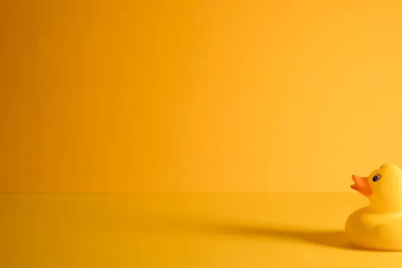 B Cazino Cazinou Suport